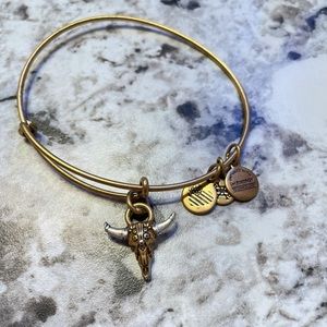 Alex and Ani bracelet